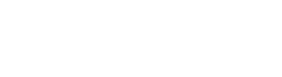 facemax.vn